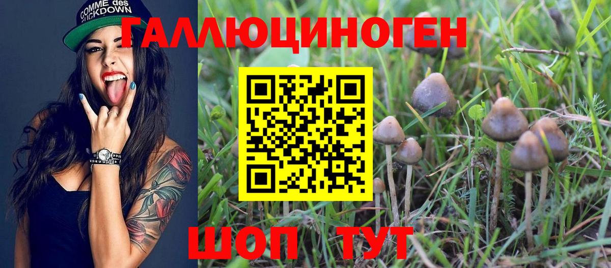 Псилоцибиновые грибы прущие грибы  Псилоцибиновые грибы мицелий  Вход с VPN  Петрозаводск 